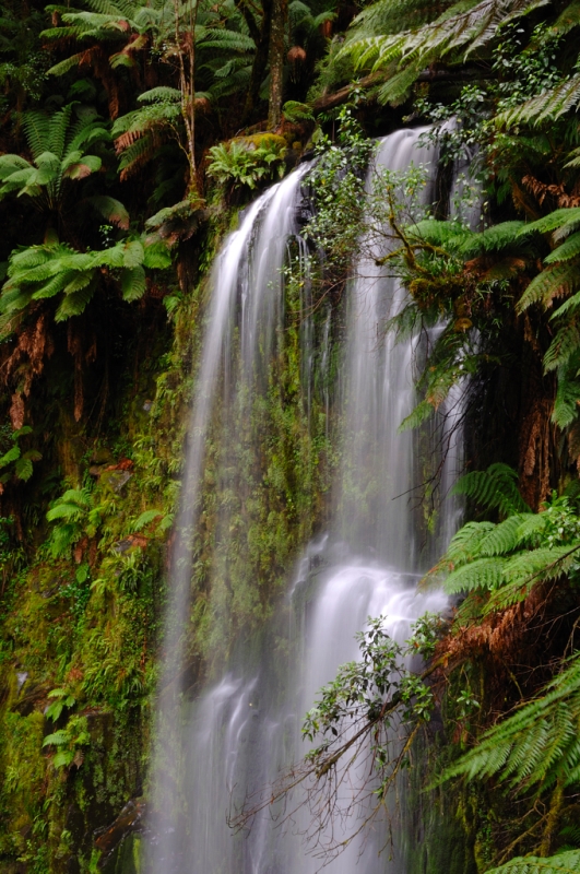 _DSC3944.jpg