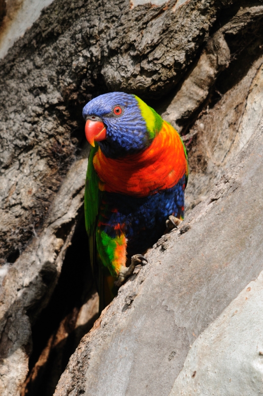 _DSC8220.jpg