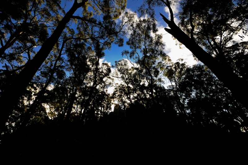 _DSC5527.jpg