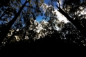 _DSC5527