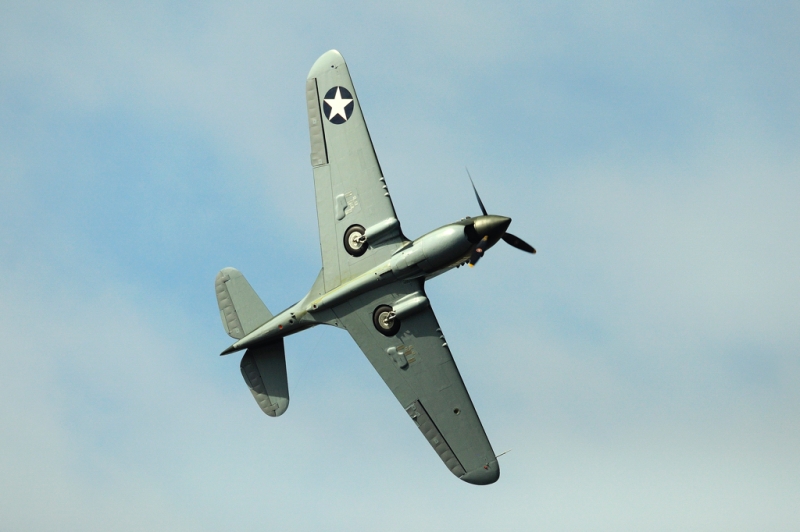 _DSC1916.jpg