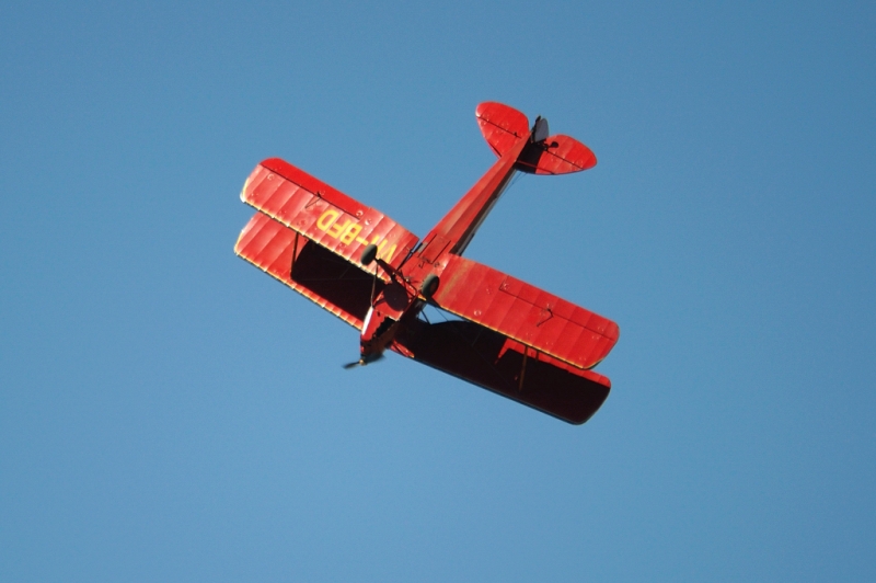 _DSC2011.jpg