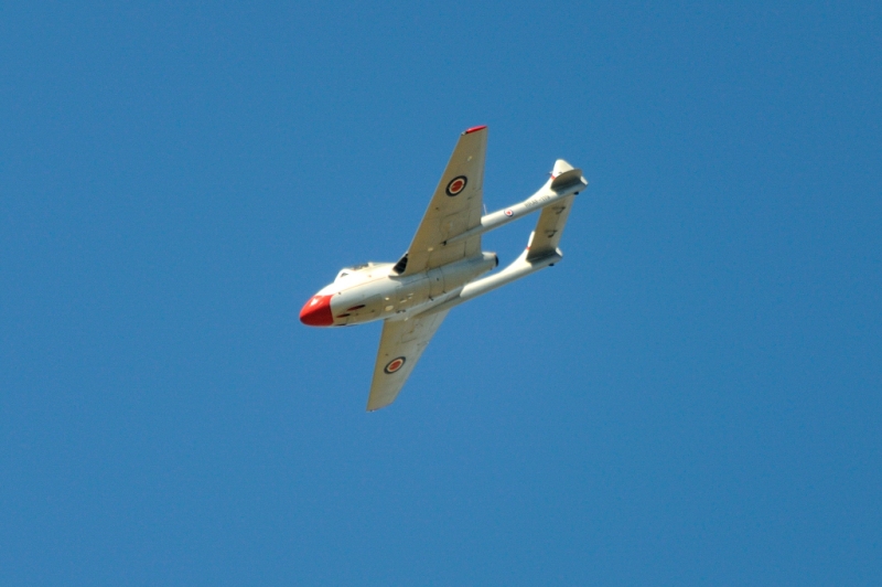 _DSC2072.jpg