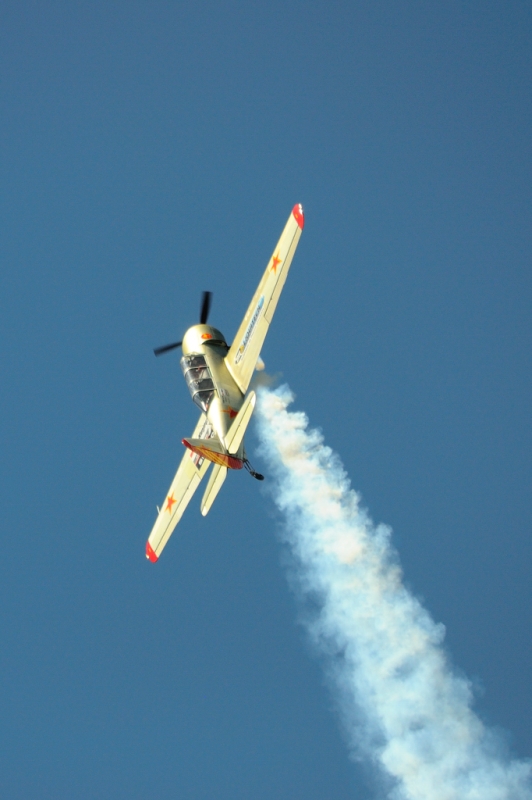 _DSC2203.jpg