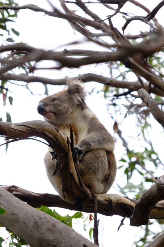 _DSC3425.jpg