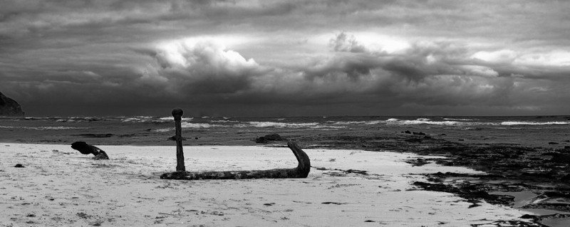moonlighthead2.jpg