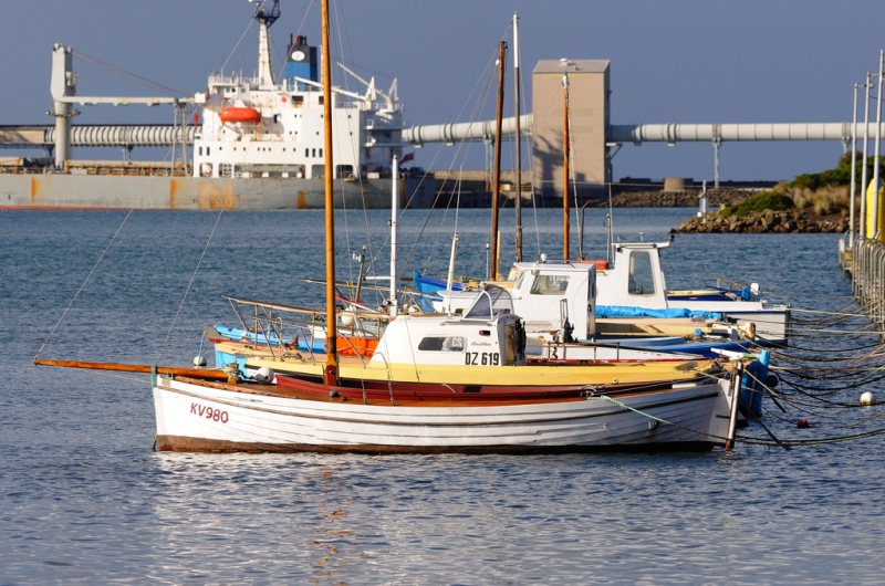 _DSC6084.jpg