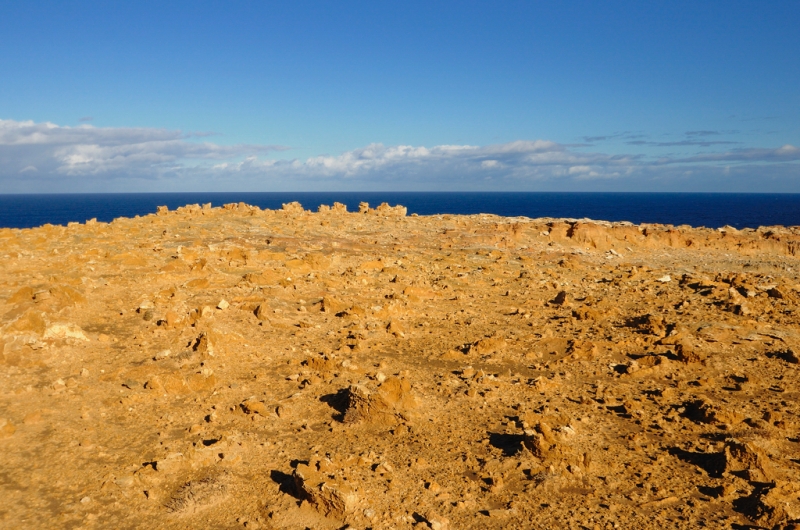 _DSC6253.jpg