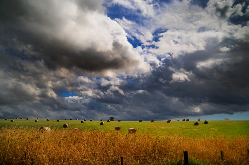 DSC_4869.jpg - Clouds 12-1-11