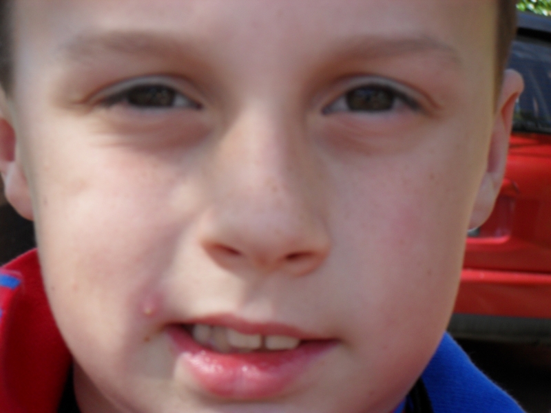 SDC10077.JPG