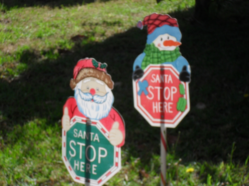 SDC10079.JPG