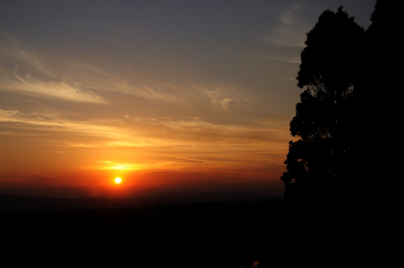 DSC_2187.jpg