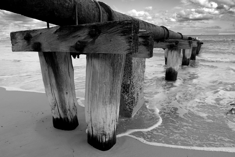 DSC_3966bw.jpg