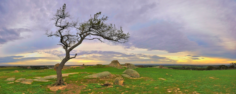 pano4-1024.jpg