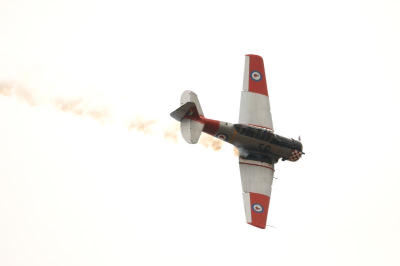 DSC_2955.jpg