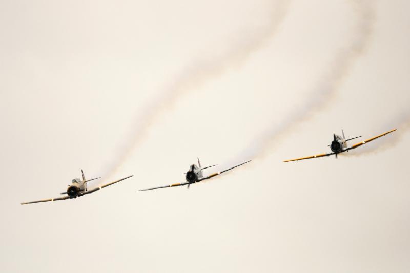DSC_2965.jpg