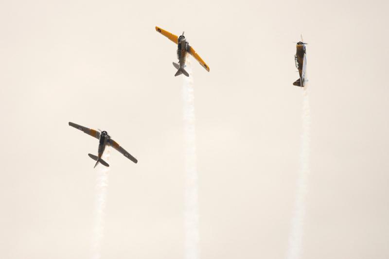 DSC_2971.jpg