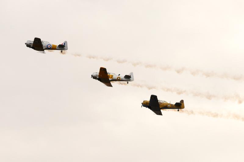 DSC_2985.jpg