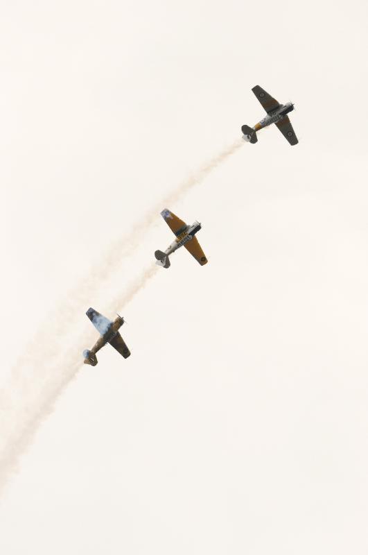 DSC_2986.jpg