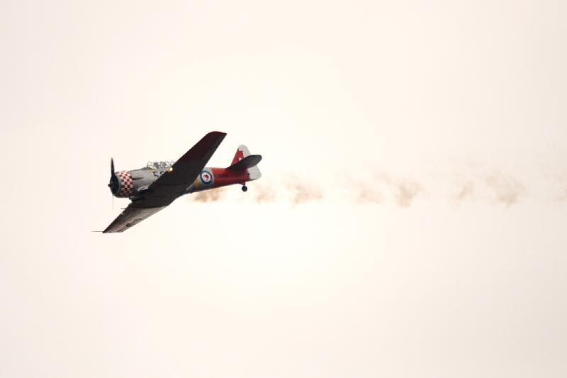 DSC_2988.jpg