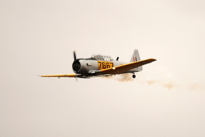 DSC_3003.jpg