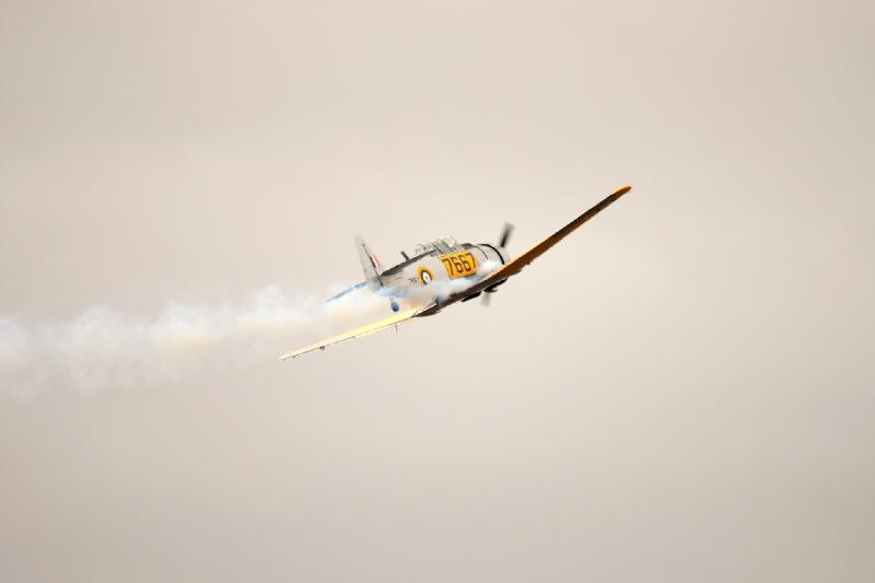 DSC_3004.jpg
