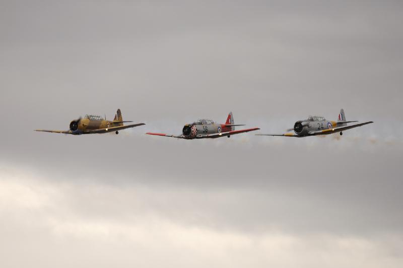 DSC_3013.jpg