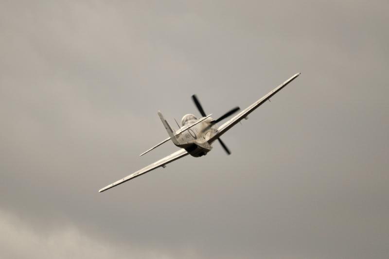 DSC_3271.jpg