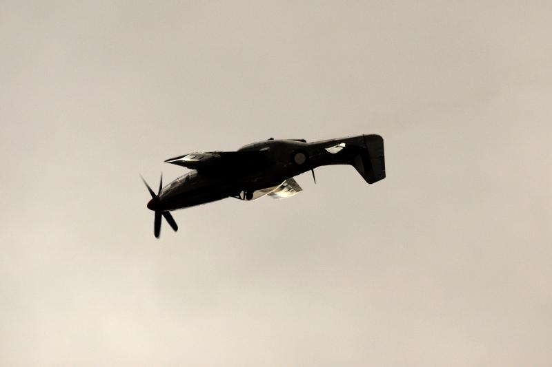 DSC_3279.jpg