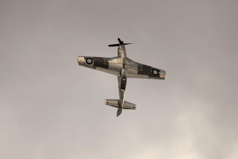 DSC_3282.jpg