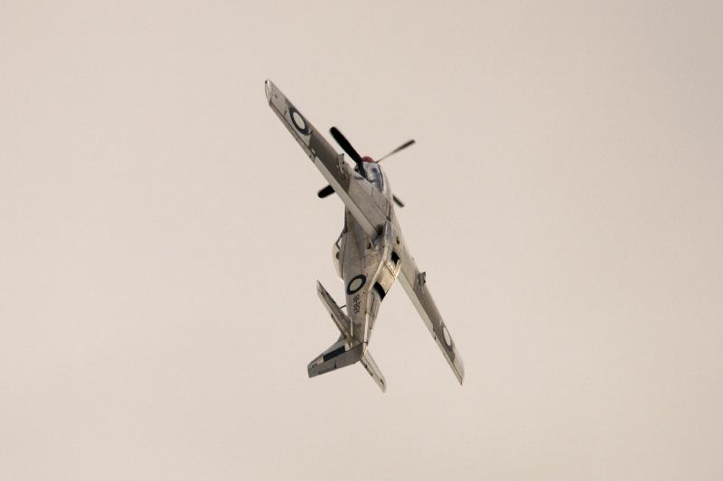 DSC_3300.jpg