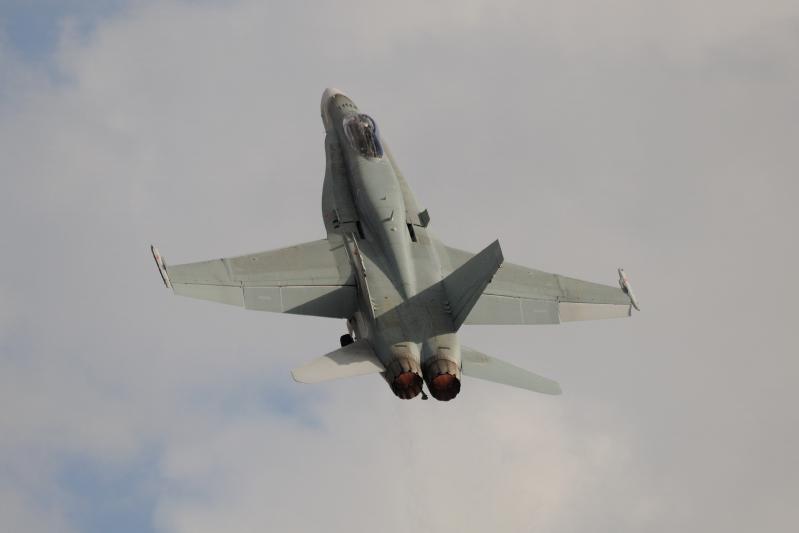 DSC_3355.jpg