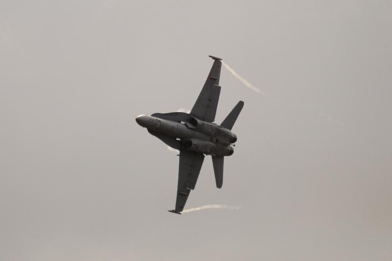 DSC_3381.jpg