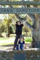 balyang_153