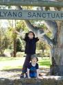 balyang_154