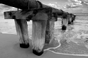 DSC_3966bw