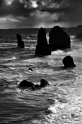 _DSC5519