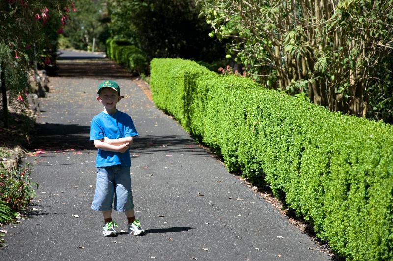 gardens_17.jpg