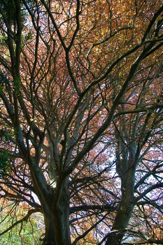 gardens_18.jpg