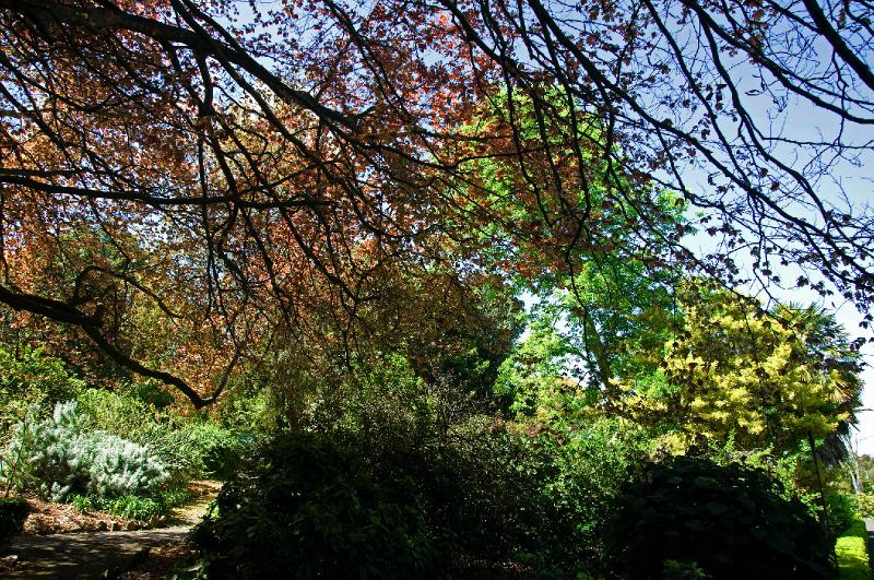 gardens_19.jpg