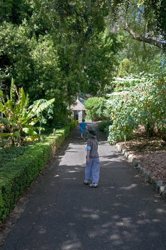 gardens_45.jpg