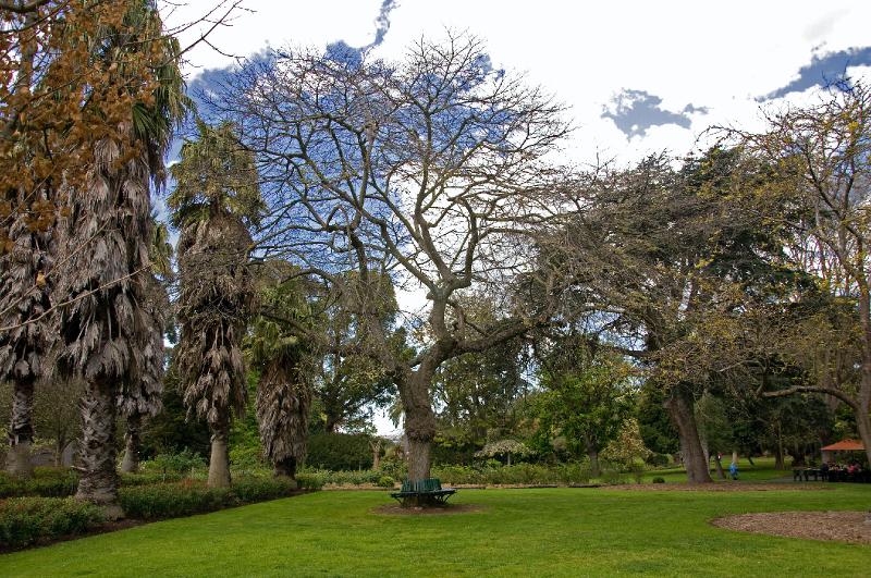 gardens_63.jpg
