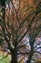 gardens_18