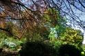 gardens_19