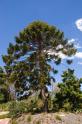 gardens_6