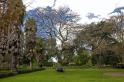 gardens_63