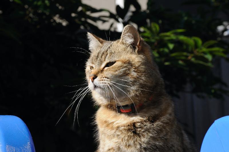 DSC_0832_017_missy.jpg