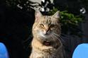 DSC_0835_020_missy