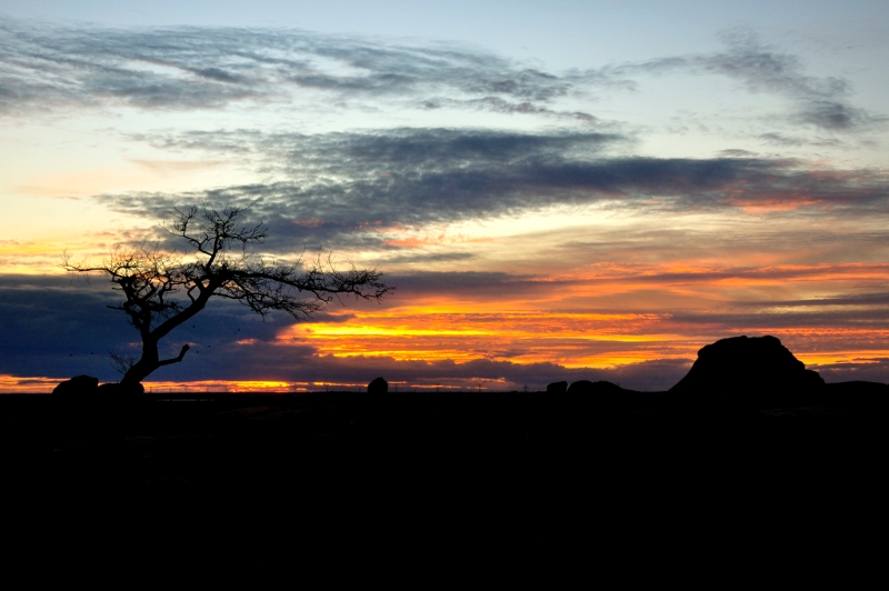 _DSC6871.jpg
