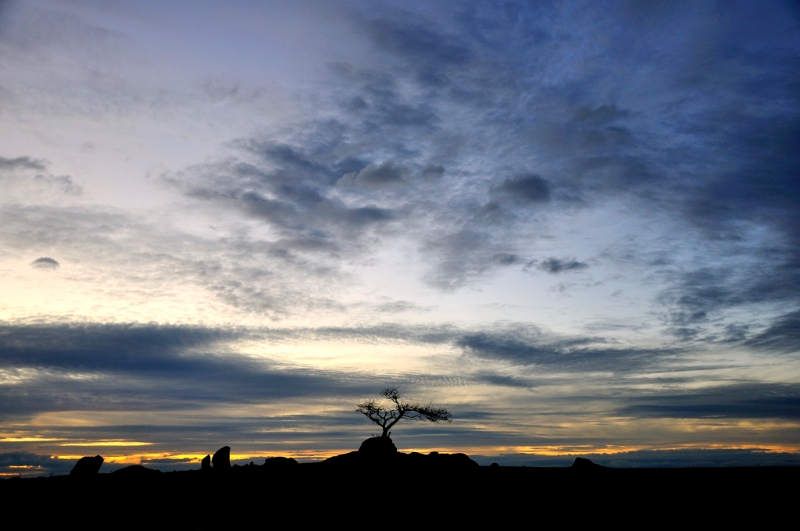 _DSC6897.jpg